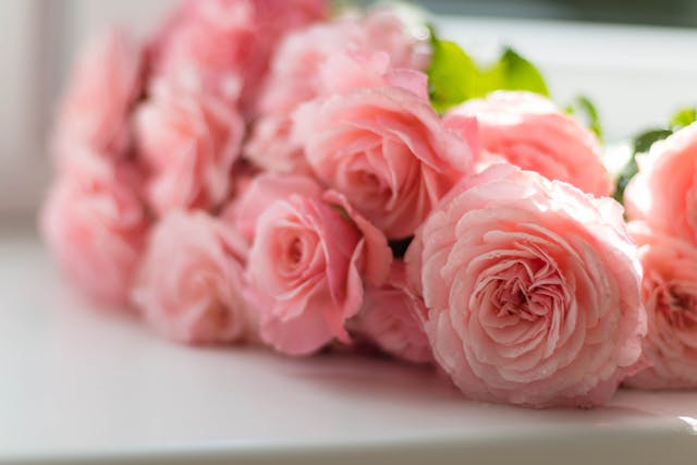 bloemen