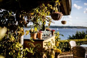 tuinplantjes en tuinstoel