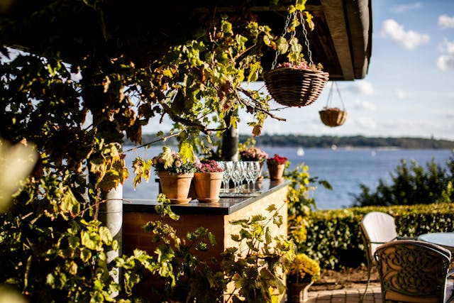 tuinplantjes en tuinstoel