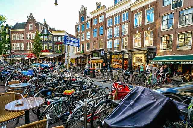 Nederlandse bedrijven